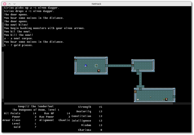 [NetHack]